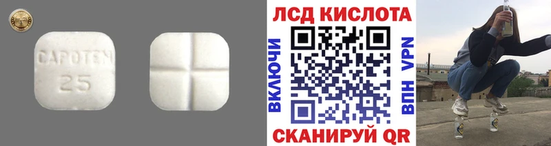 Лсд 25 экстази ecstasy  Сковородино 