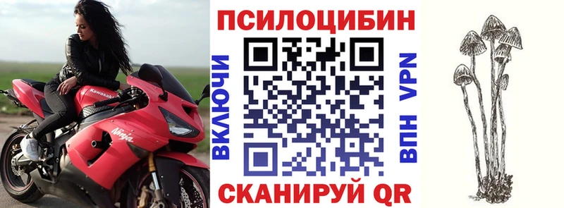 hydra ONION  Сковородино  Псилоцибиновые грибы прущие грибы  купить наркотики сайты 