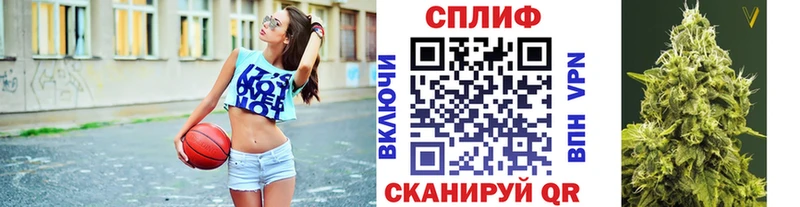 мега зеркало  где купить наркоту  Сковородино  Канабис White Widow 